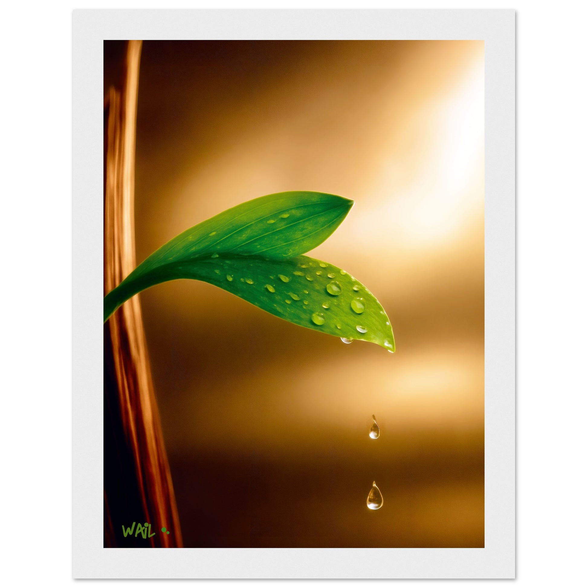 3045d7d7-9e3c-46e4-881b-2235faf6547e