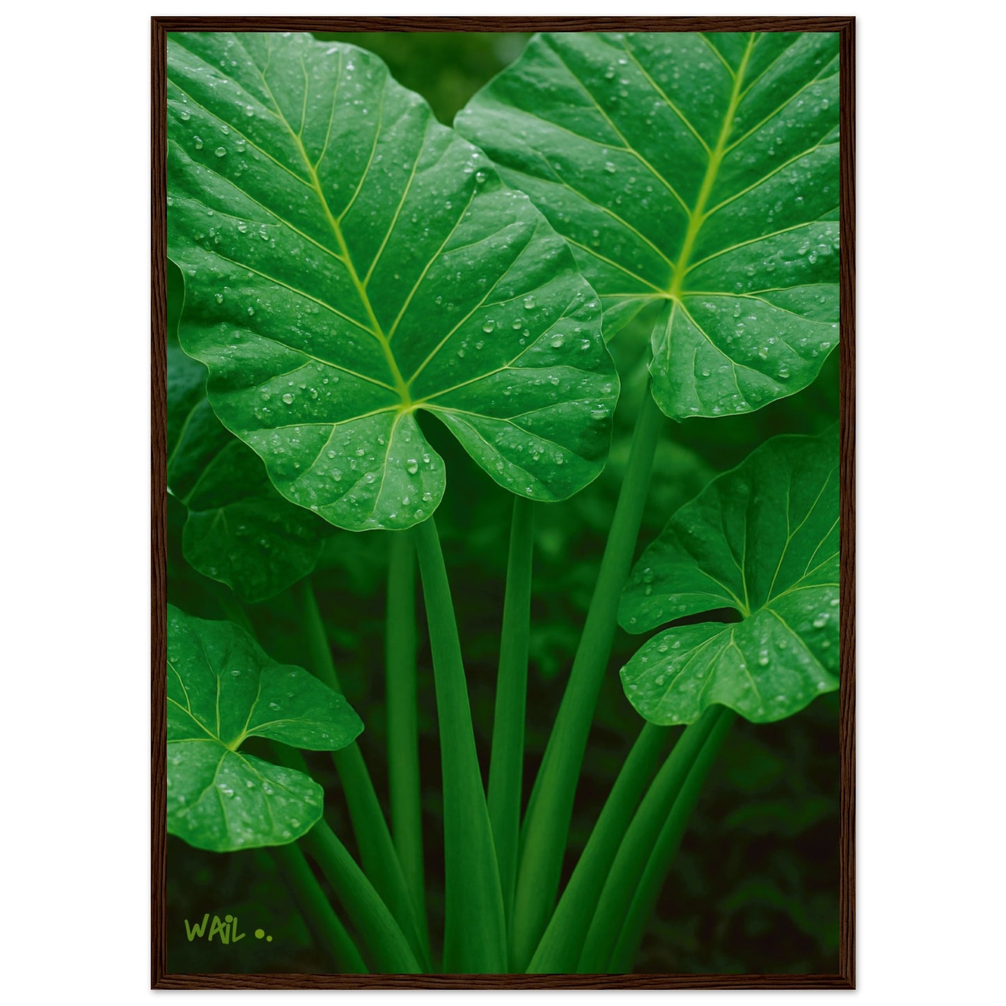 36567285-45f5-4095-a826-072f81dad0e1