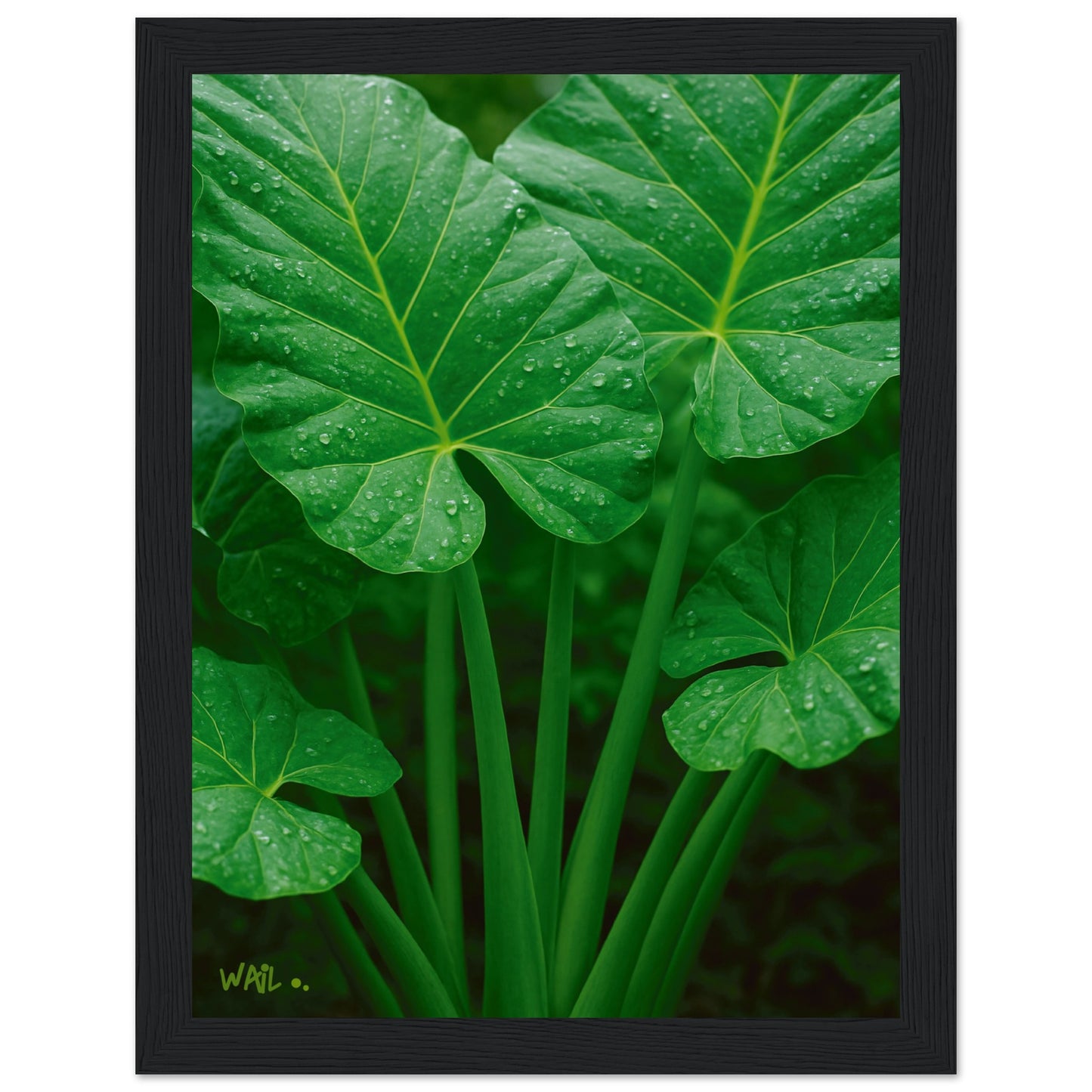 44b473cc-b6e4-46f0-91af-f5c114af844e