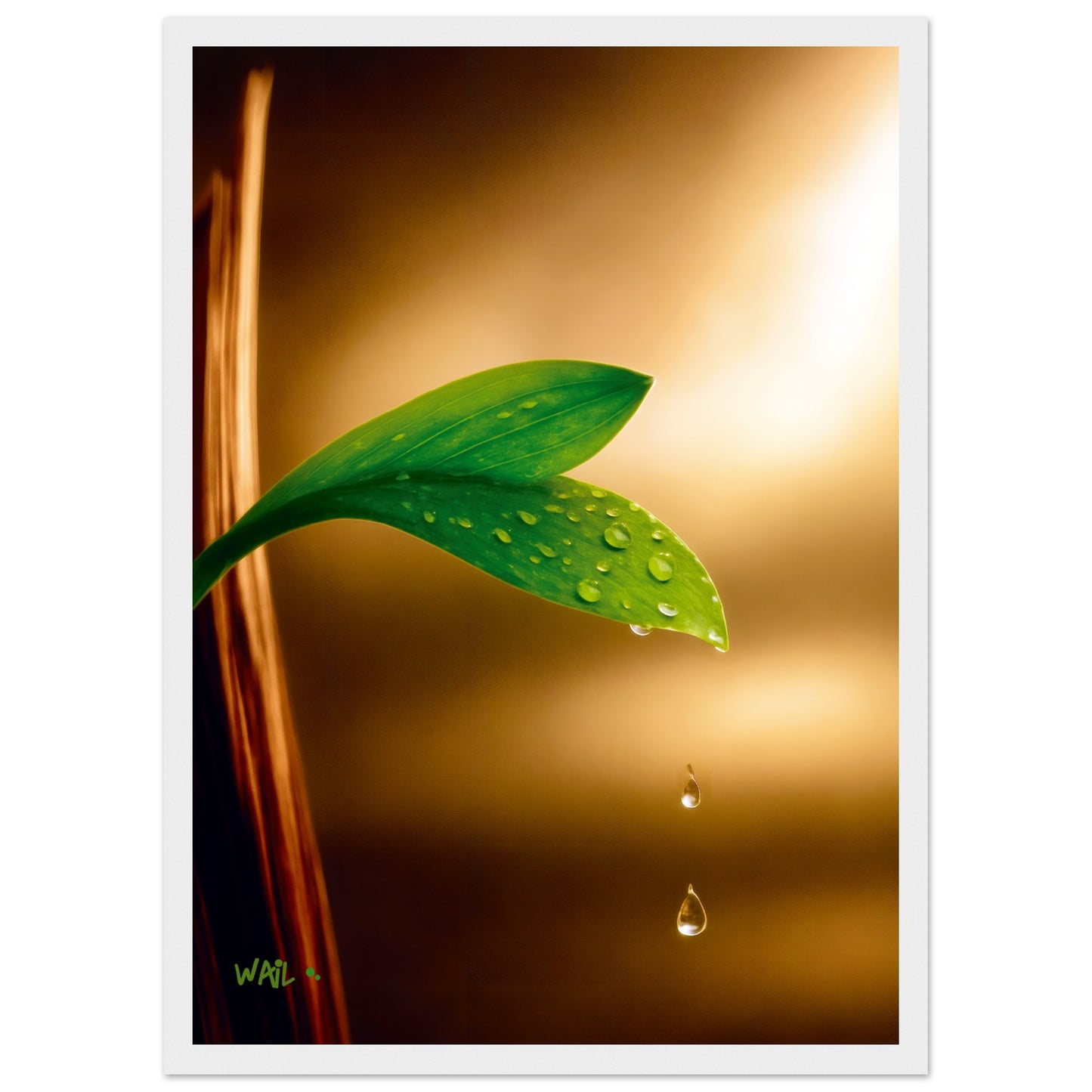 47492124-e33e-42f4-b585-e3fbc94575df