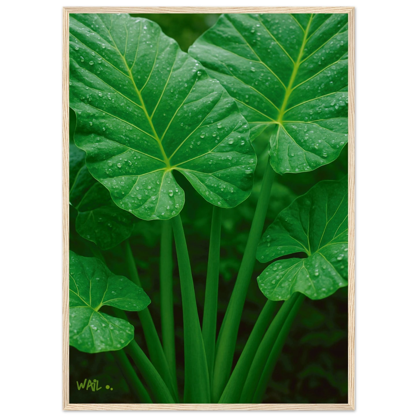 4f6e10a7-da3e-49e0-83f7-031dcb9b5401