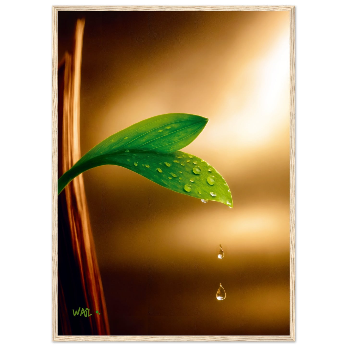 568da065-fa23-4618-8de9-e4f4abc6c1b2