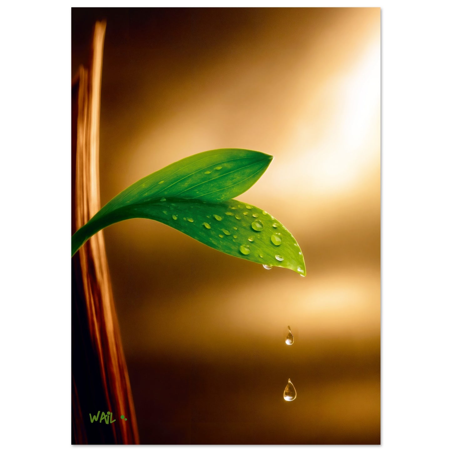 58e70287-ccb5-4b56-9da9-f61f06d38f08