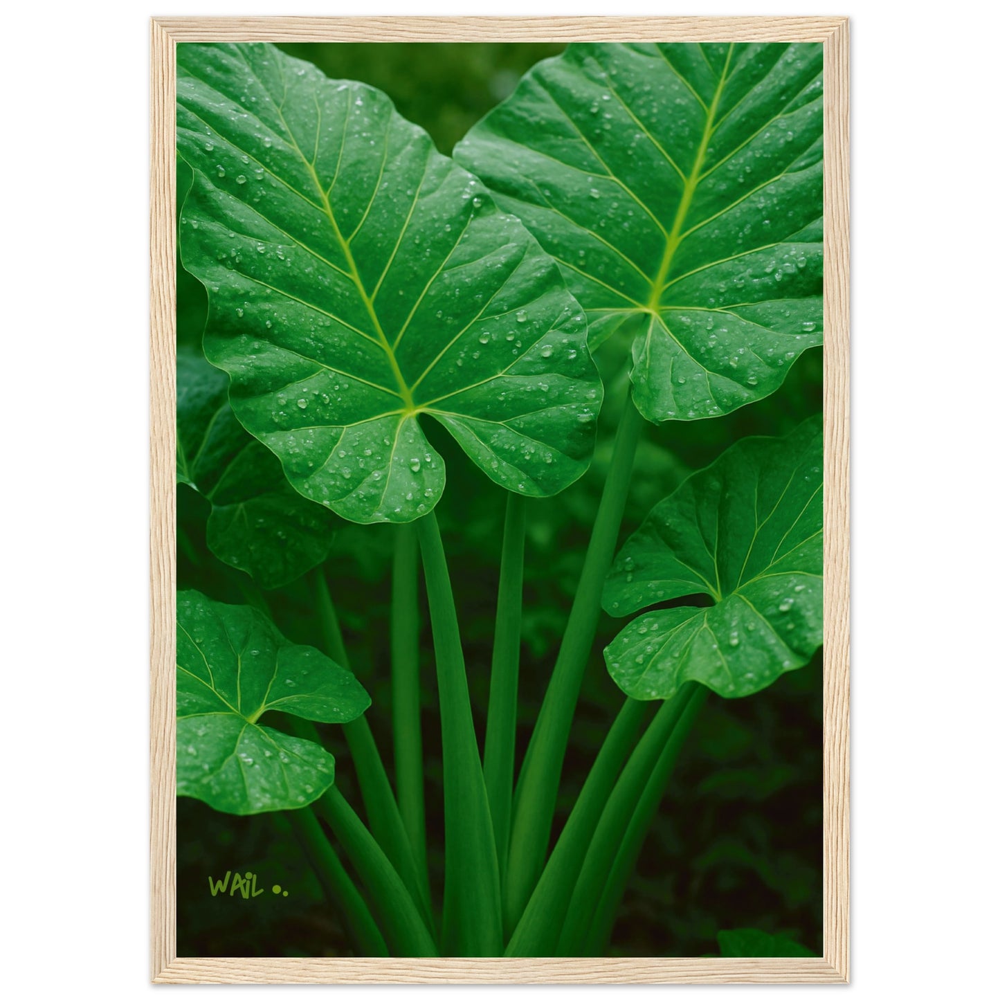 59a805d6-7633-4a6e-8010-5cd185342317