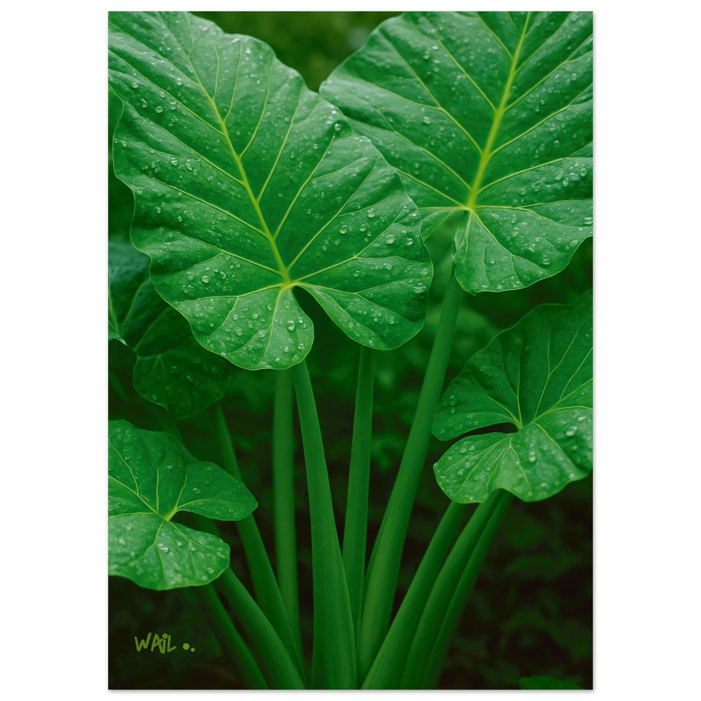 672b2e72-a8da-4e5d-ae31-3bc7e3053b19