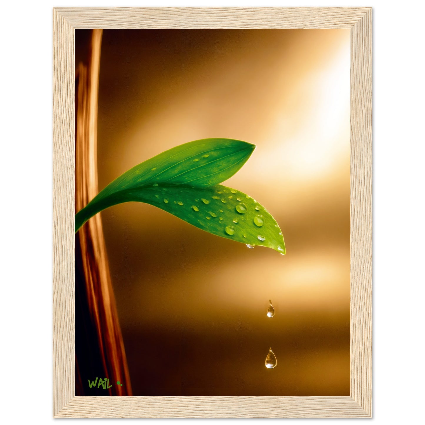 6a7caac1-73c5-463e-9c3d-c21bc50551eb