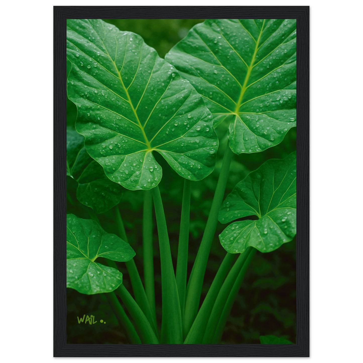 7b85eaf7-efb1-4541-9fb5-3d7eb9c03973