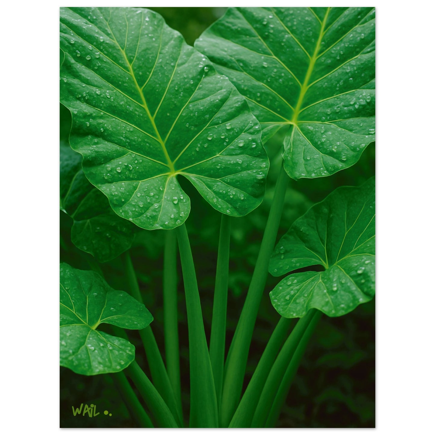 7bc7cece-d5cc-42aa-9d31-303689416ddd