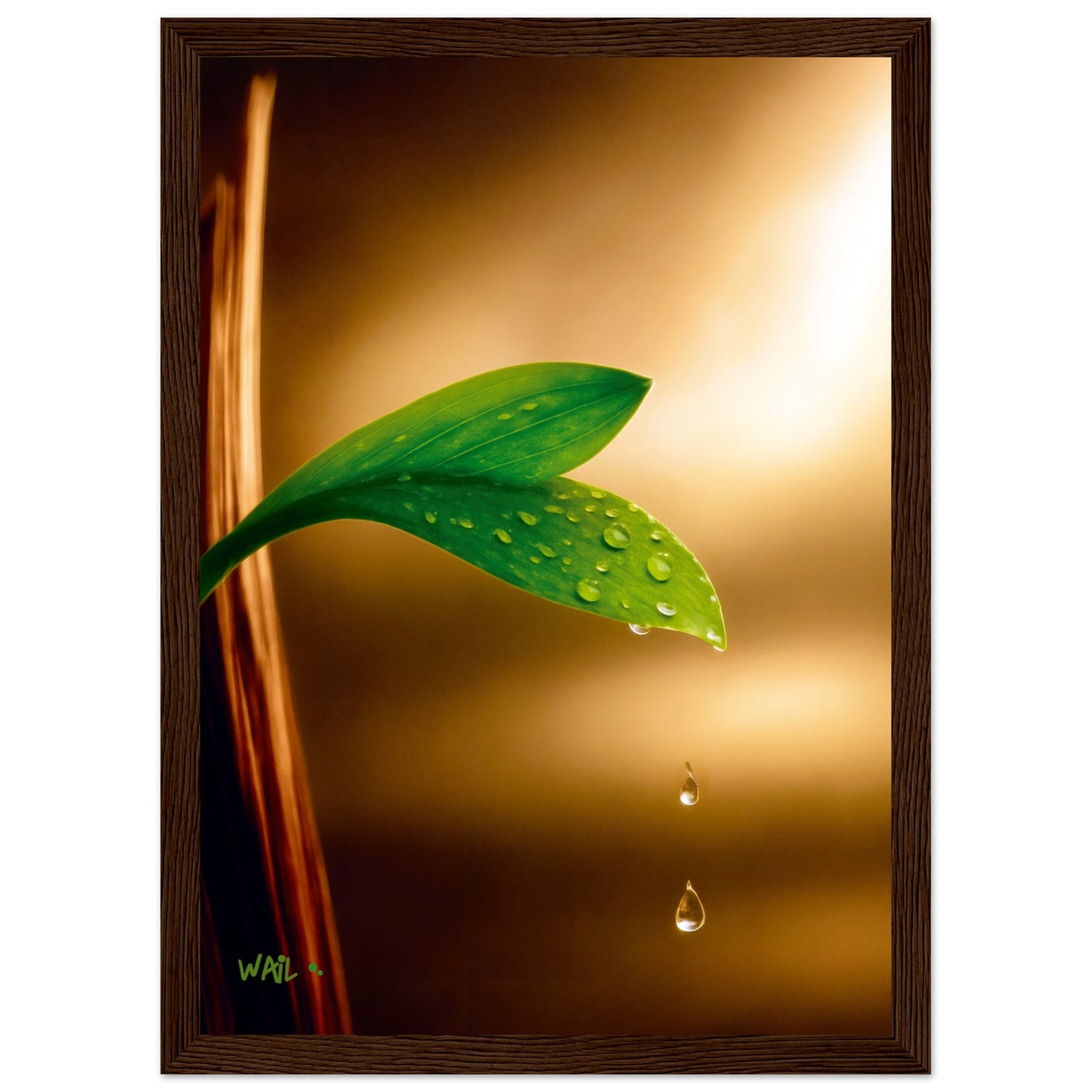 7f17046f-7b98-4021-9b55-fc93328a2123