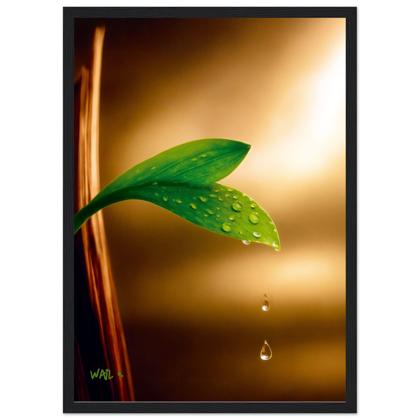 852c24e5-5b94-4ba4-86a5-06eaefdb240e