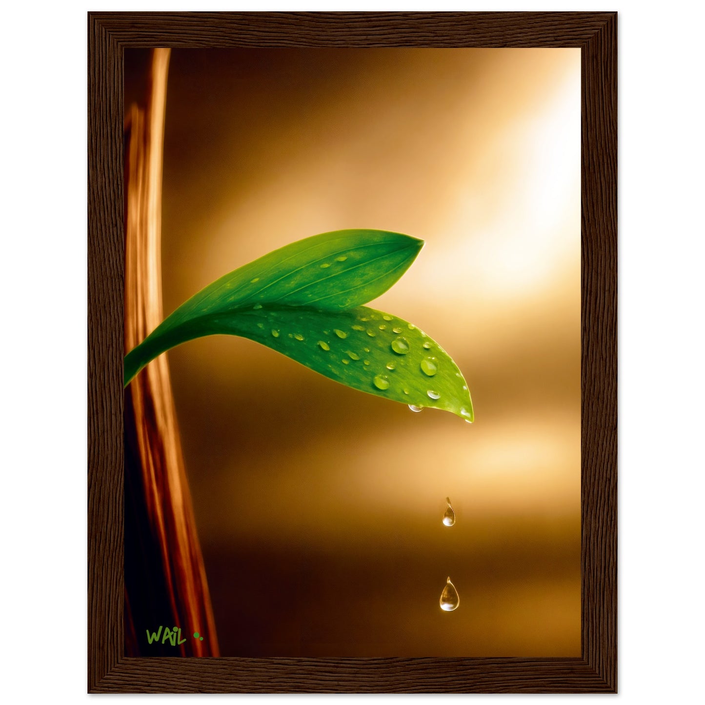 9399f1eb-701a-4201-981a-7b6bd72d7045