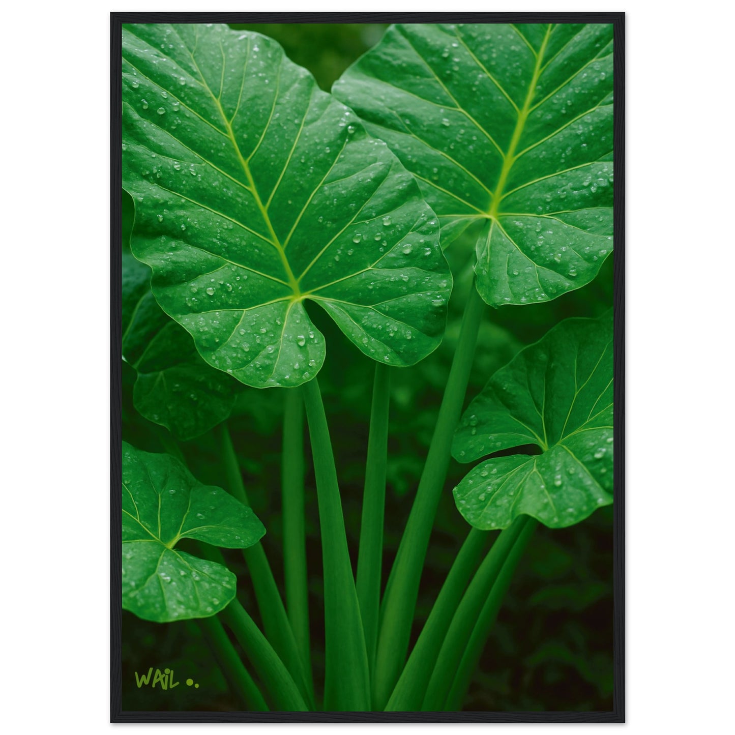 965af9ae-bb6f-4b34-8181-b505f45375de