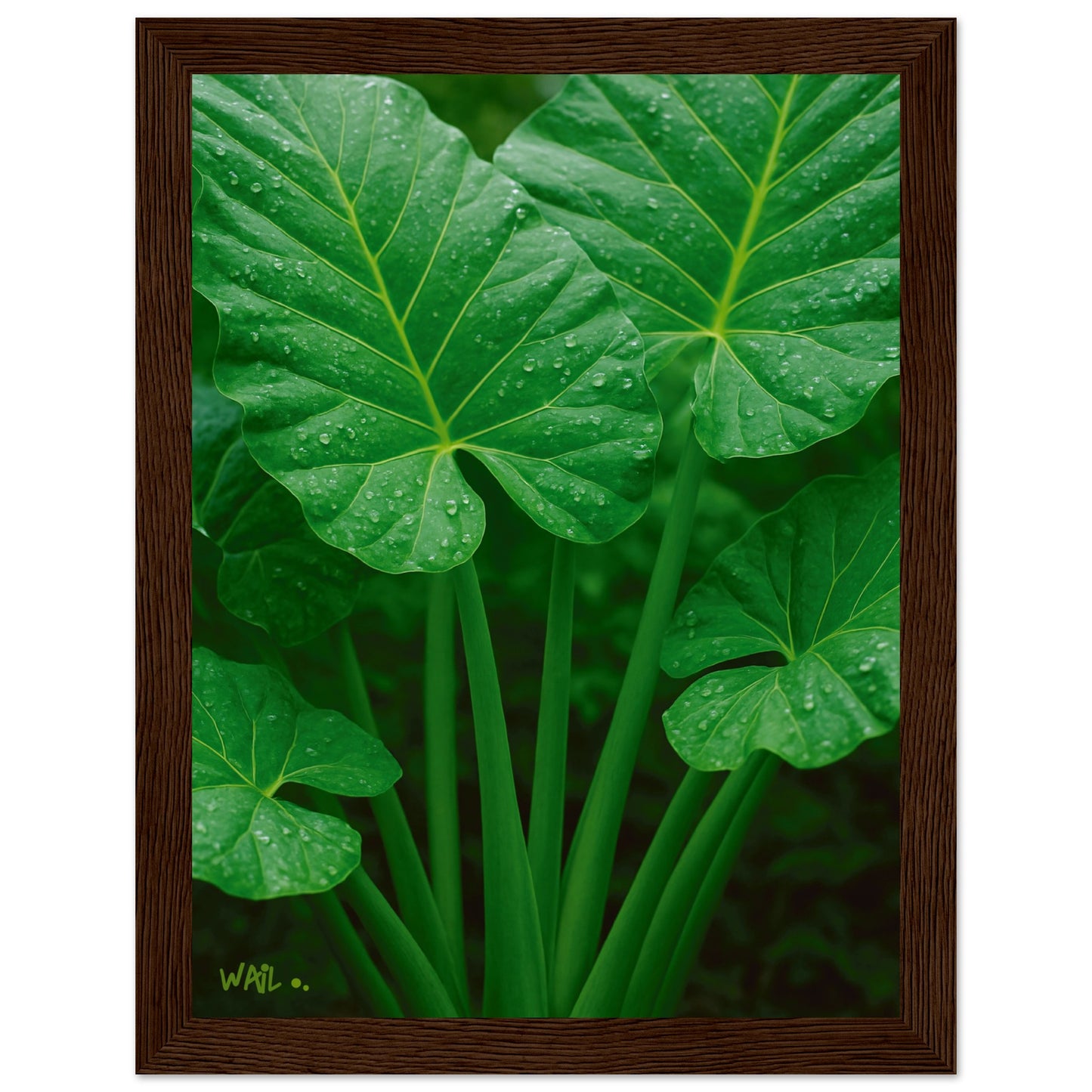 a4503979-1755-47a7-9f3a-3b30fb0903b9