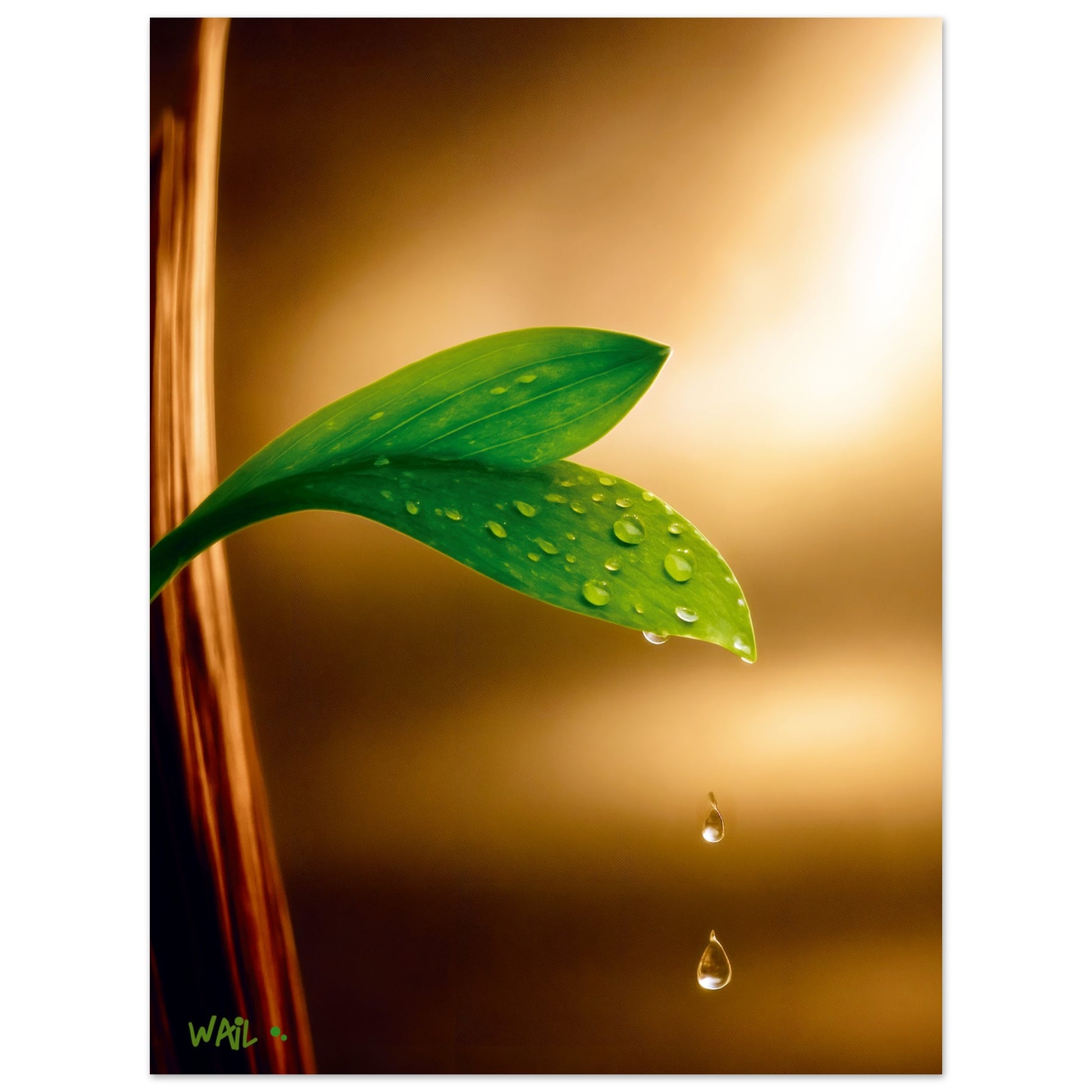 a7aa0c6b-a6f6-46c7-9951-c809866b7646