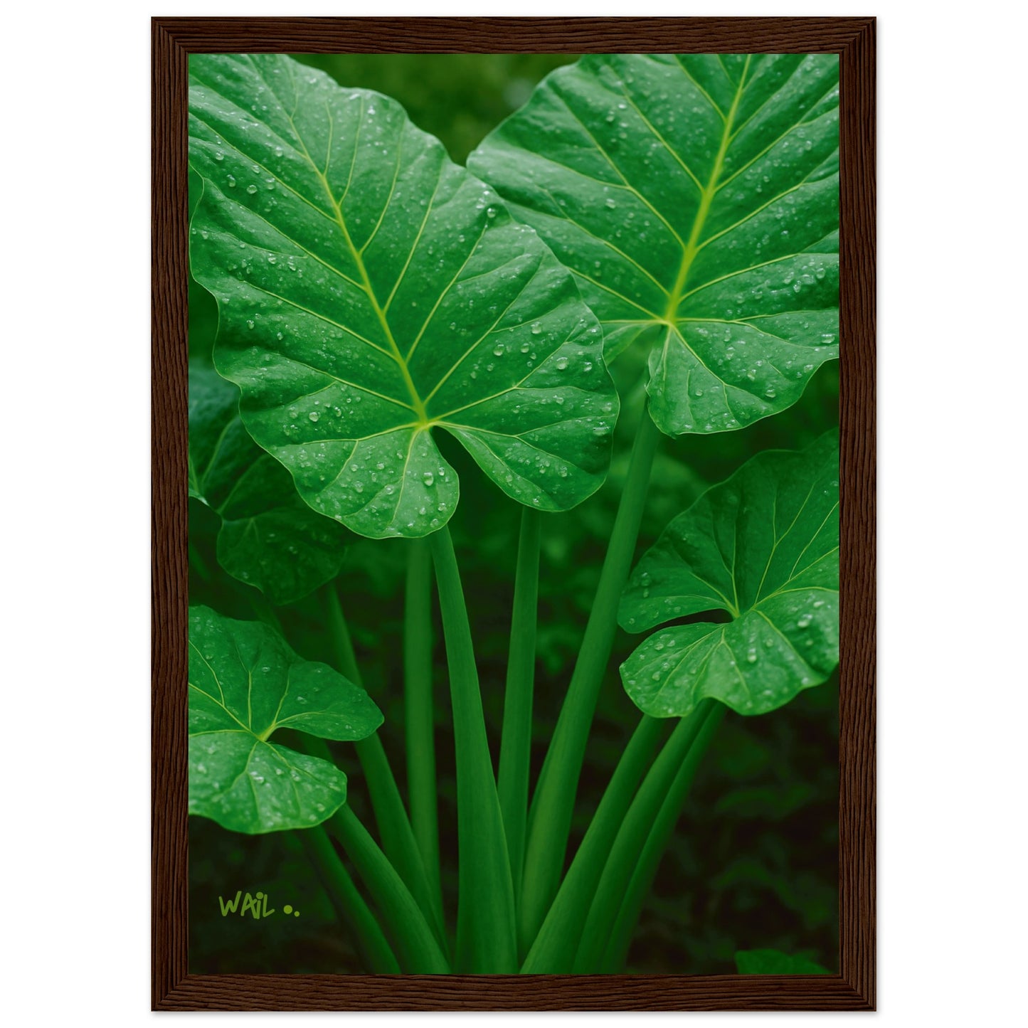 b3218011-5c86-4beb-a6e8-2ffaf4056856