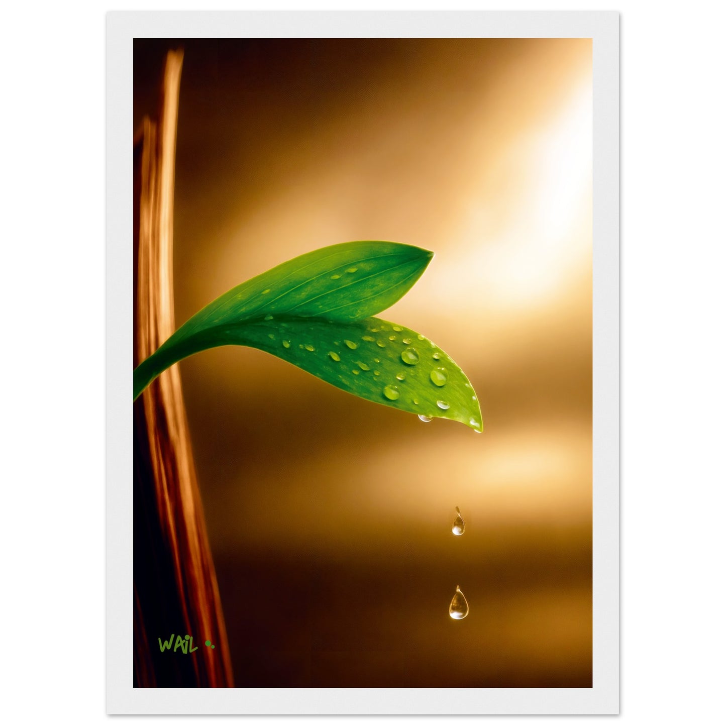 b32e1274-ba4e-4d30-89aa-dd65cc7fbf10