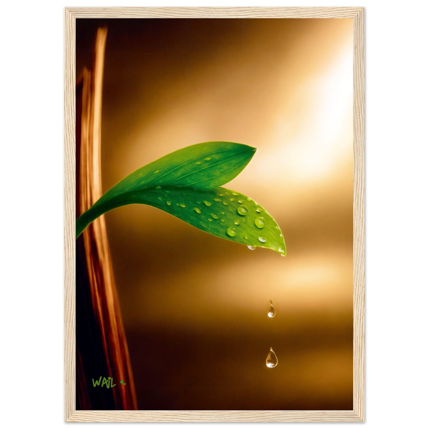 b7911faa-ecd2-4cc2-ad1c-df2f14f106cb