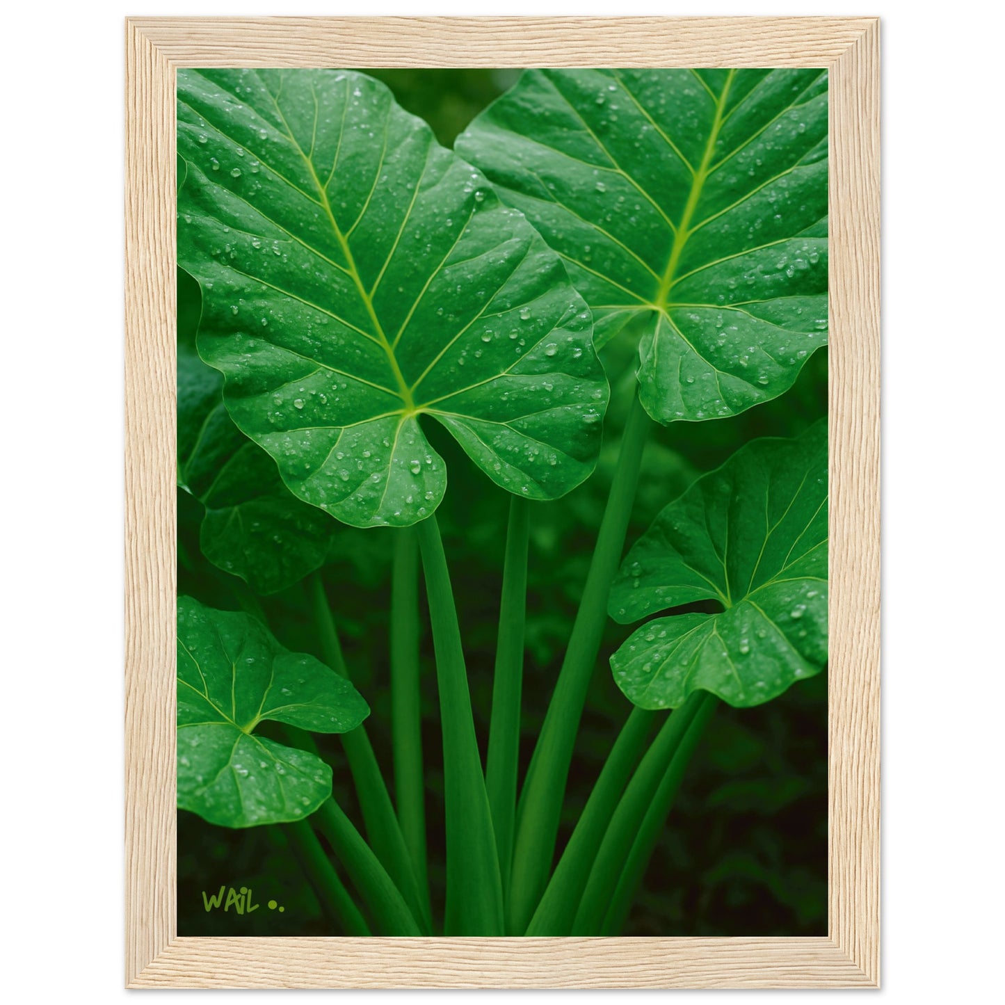 c80d382e-36d9-4ef7-94f4-2977583a8e6c