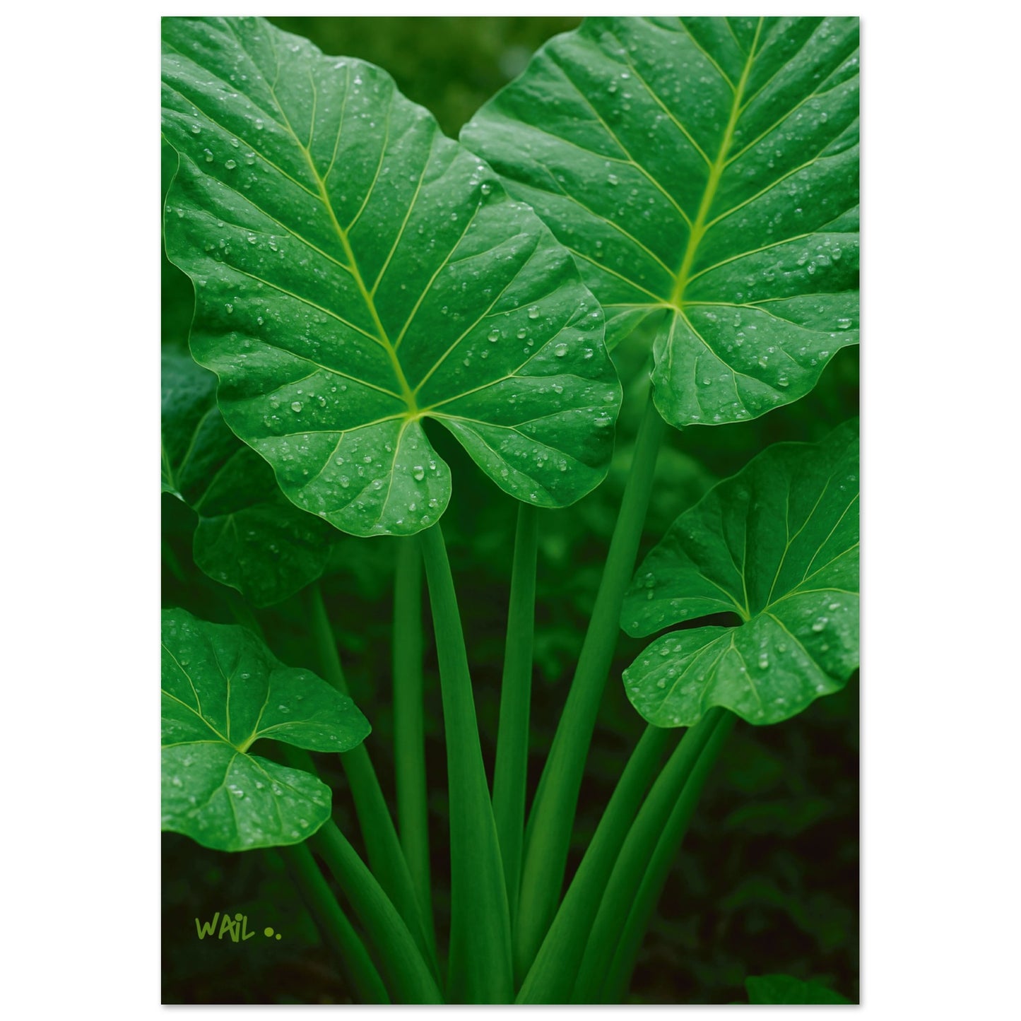 c9a76dfa-4c07-46c4-afdd-80e3832b83ca