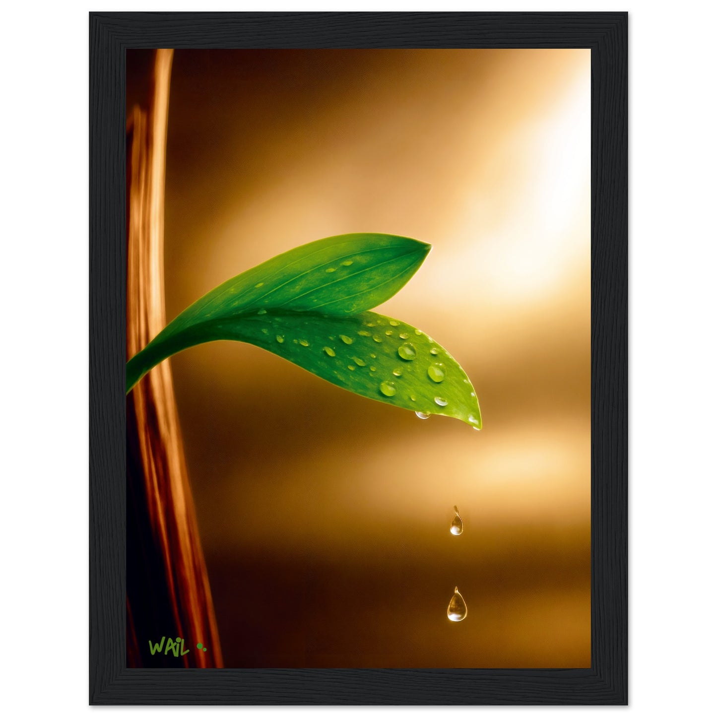 d18bb566-2884-4c26-ae00-6be4bcc57fb8