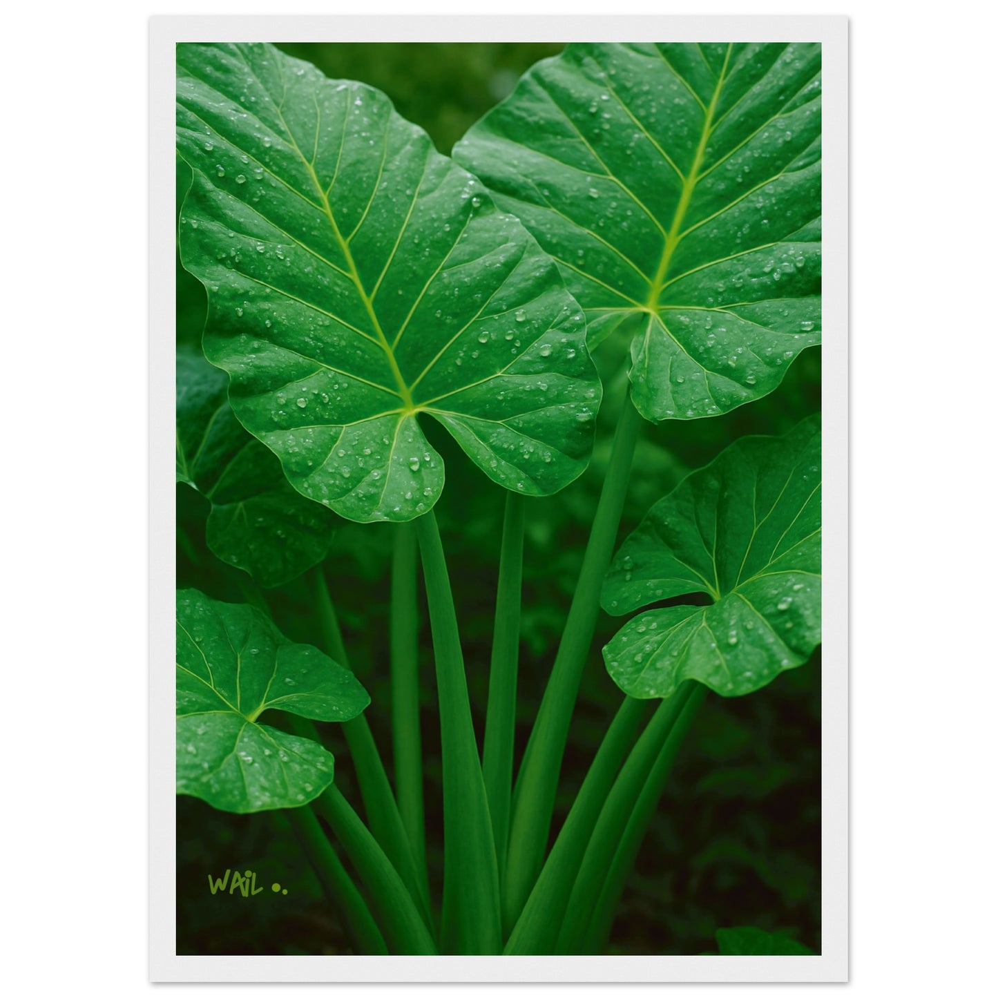 eb80e29e-56ec-4edc-af7e-d0edef193f37