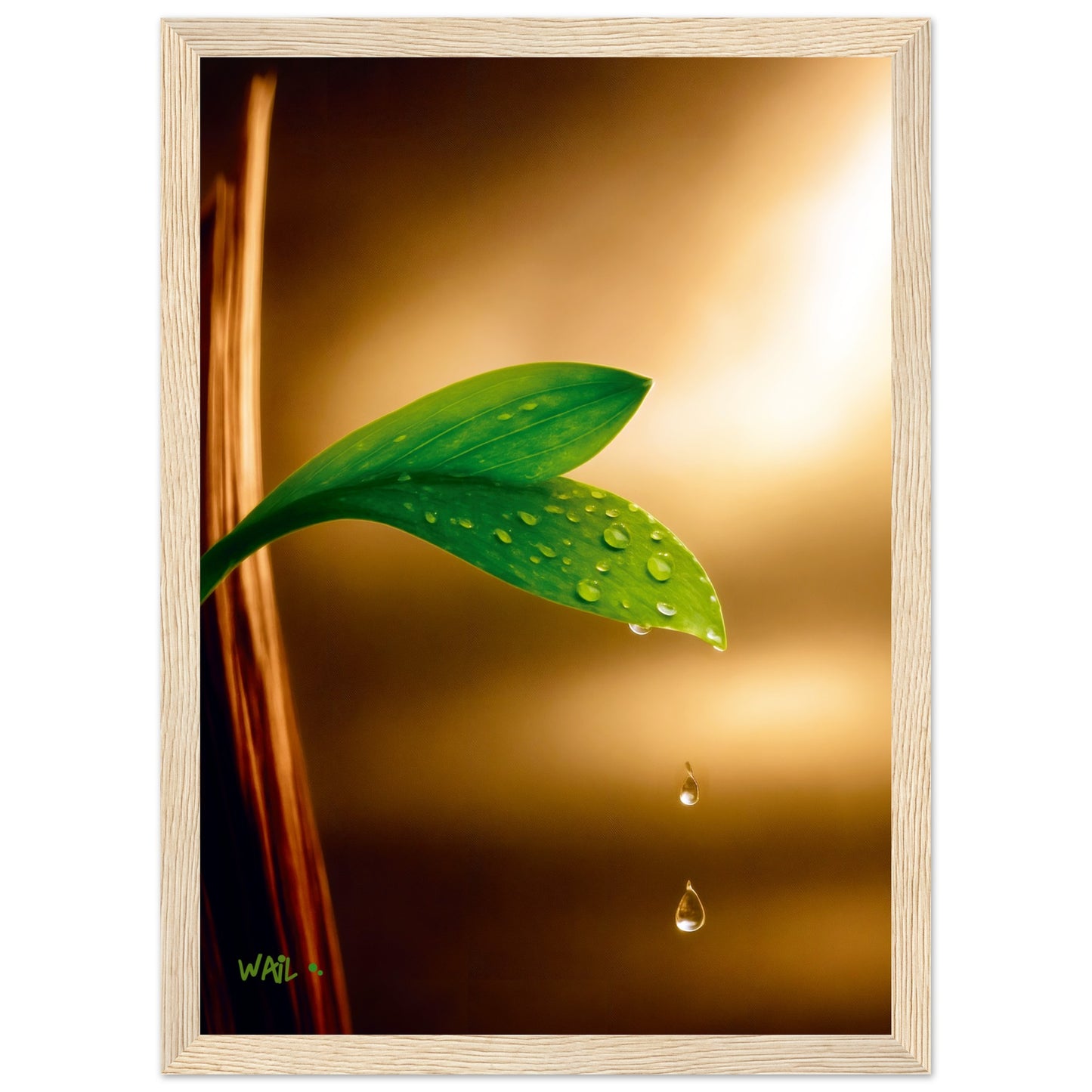 ec4f679b-b0cf-4036-af27-52107c075c19