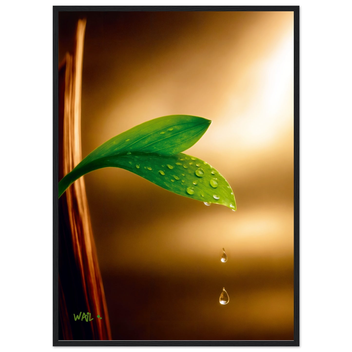 f586ba1d-6d82-4f8c-9f21-1887990653f5